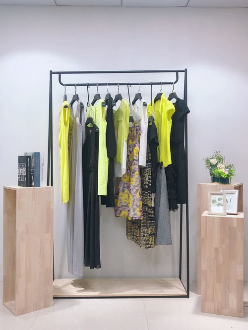 廣州品牌折扣女裝同款批發(fā) 精品連衣裙尾貨批發(fā)與鞋帽批發(fā)的商機(jī)